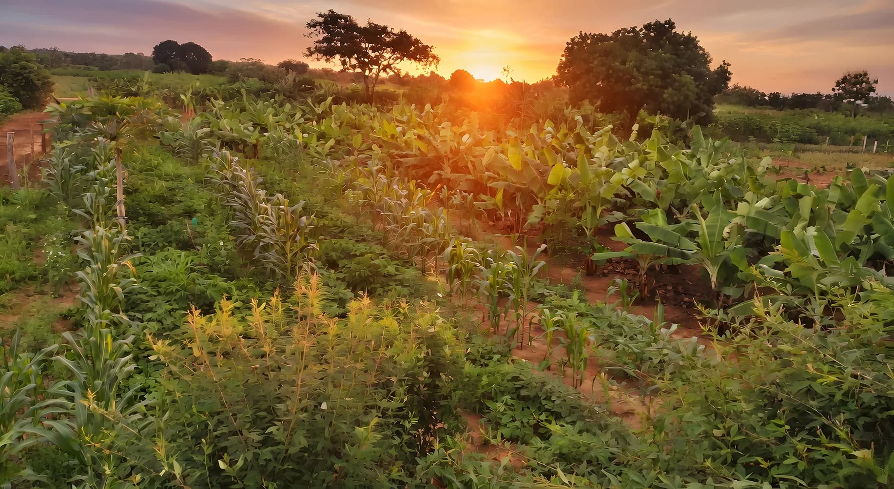 Visitors enjoying a banana, coffee, and spice farm tour at Tanga Banana Garden in Tanga