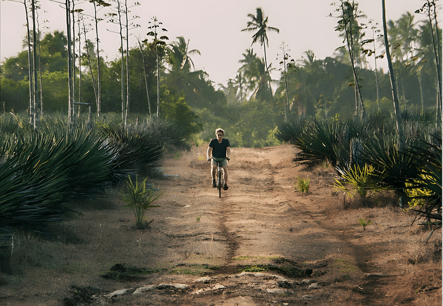 Best Places to Visit in Tanga, Tanzania